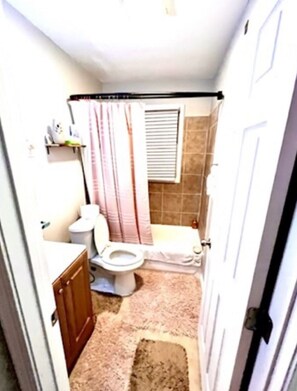 Combined shower/bathtub, jetted bath, hair dryer, towels