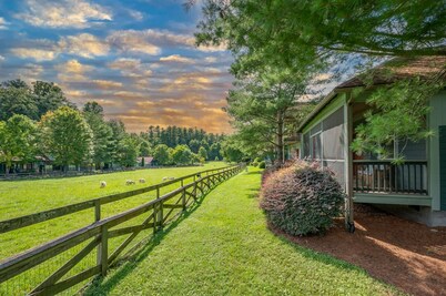 Buttercup Cottage | Quaint 2 BR Cabin Near Hendersonville!
