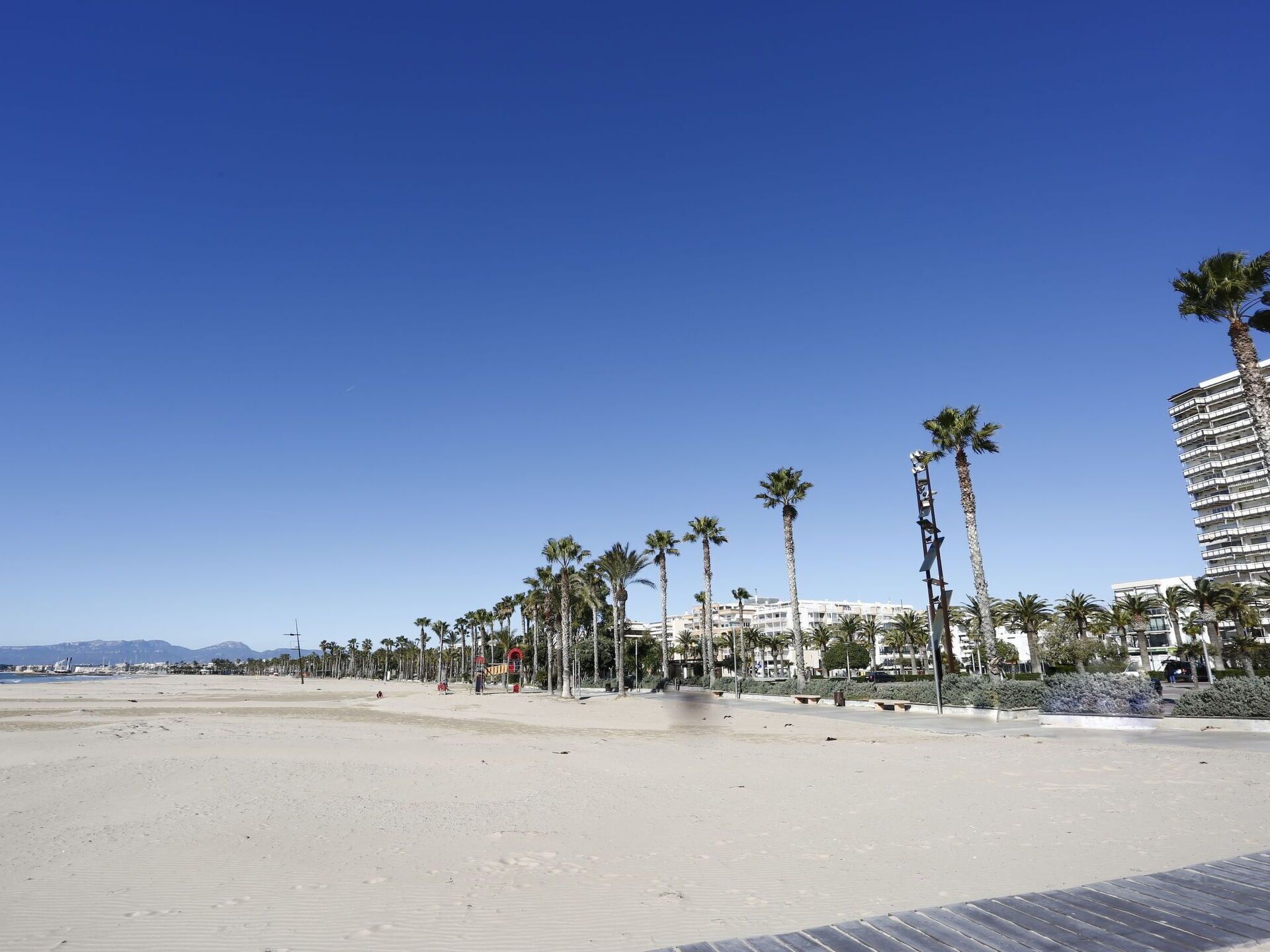 Ein Strand mit Palmen und einem Hochhaus im Hintergrund.