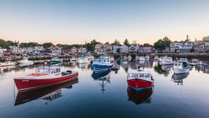 A marina with various boats docked, calm water, and buildings in the background.