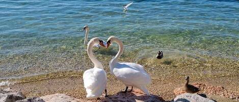 Spiaggia
