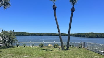 Enjoy serene lakeside views surrounded by palm trees and a tranquil atmosphere.