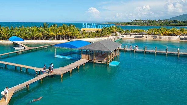 Un resort tropical con una gran piscina, pasarelas de madera y palmeras.