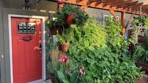 Una puerta roja con una ventana, una pérgola de madera con macetas colgantes y varias plantas en macetas.