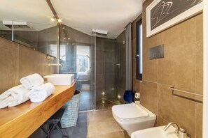 Shower, hair dryer, bidet, towels