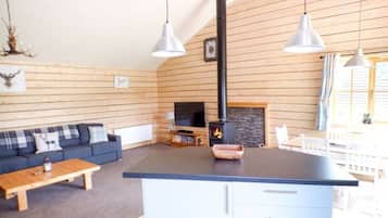 Älytelevisio, takka, DVD-soitin, kirjoja