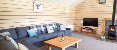 Smart TV, fireplace, DVD player, books