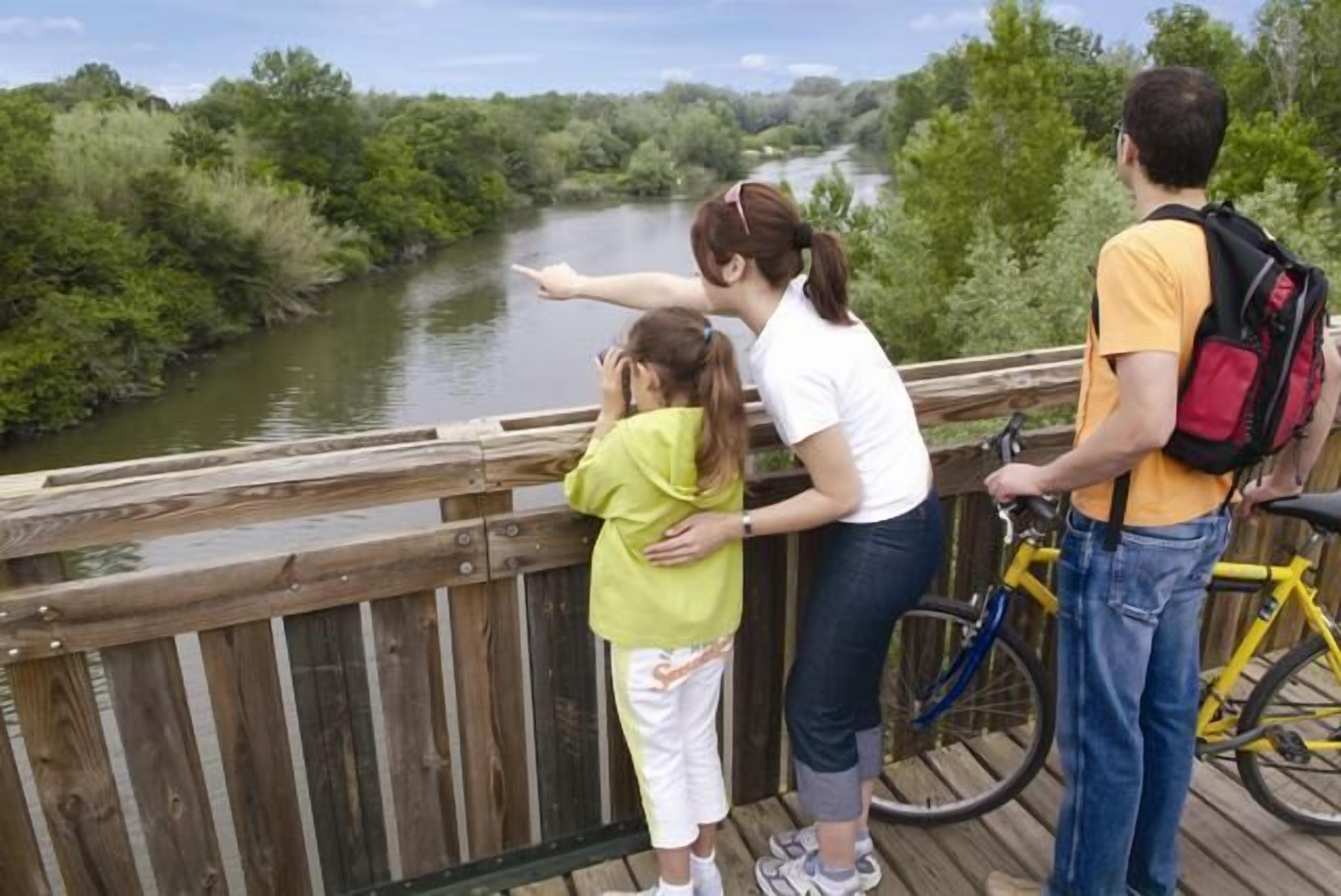 A wooden bridge with a river and greenery in the background.