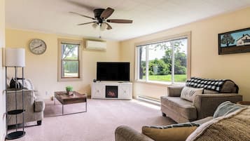 Een smart-tv, een open haard, videogames en een dvd-speler