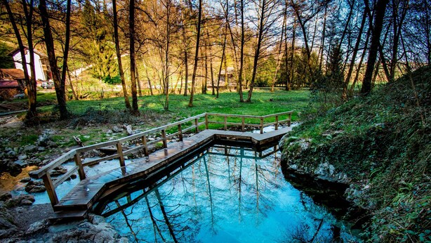 Un pont en bois enjambe un étang aux eaux d’un bleu limpide, entouré d’arbres.