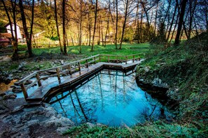 Pool - Rooftop Home With Whirlpool & Sauna, Trebnje, Slovenia (Trebnje)