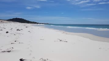 在海灘附近、躺椅