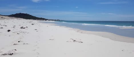 Beach nearby, sun-loungers