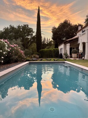 A swimming pool with a clear reflection, surrounded by lush greenery and a tall tree.