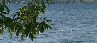 Cute & Cozy Cabin- walking distance to the lake!