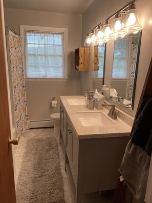 A bathroom with two sinks, a toilet, a shower curtain, and a mirror with lights. - Newly Renovated! Way-Har Farms Guest Cottage (Bernville)