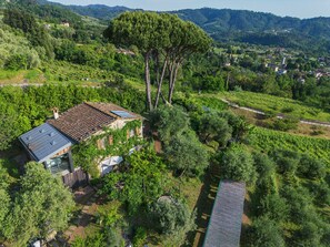 Une villa de style rustique, dotée d’un toit en pente, entourée d’une végétation luxuriante et de vignobles.