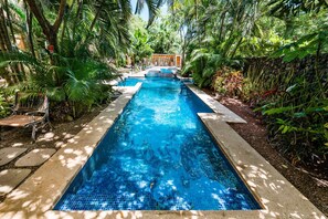 Une piscine rectangulaire à l’eau d’un bleu limpide, entourée d’une végétation luxuriante et d’un mur de pierre.