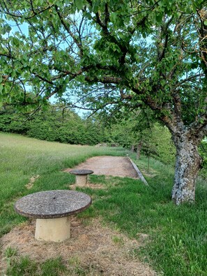 A park with a paved path, two stone benches, and a tree with lichen. - Appartement Type 2 Calme en Campagne (Comps)