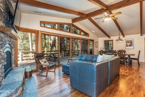 TV, fireplace, DVD player, books