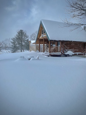 Exterior - Log Cabin On the Lake B&B (Kilworthy)