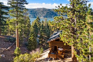 A cabin with a porch, surrounded by pine trees, overlooking a lake and hills.
