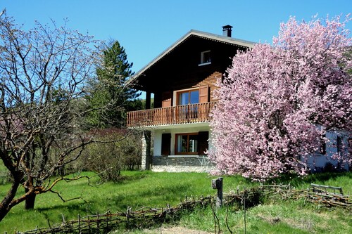 STUDIO avec terrasse en bois dans chalet