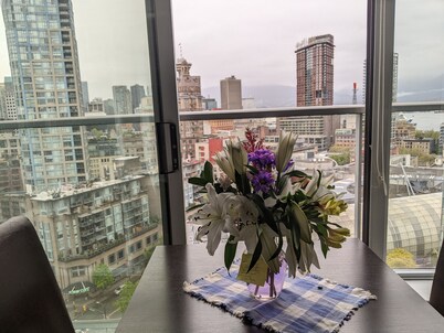 Ocean, Mountain, City Views, Fully Furnished, Downtown Vancouver