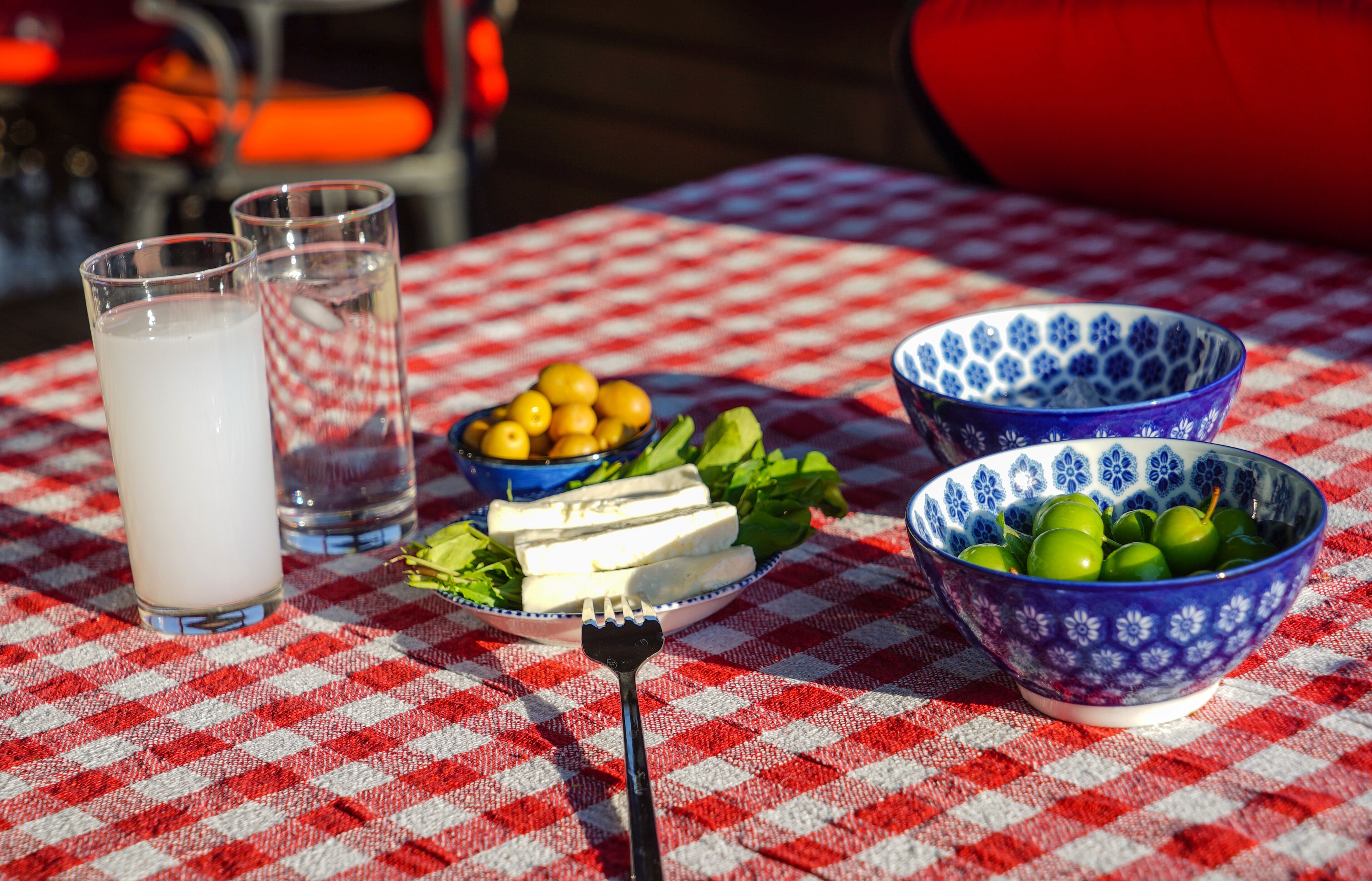 A table with a checkered tablecloth, two bowls of fruit, a plate of cheese, and two glasses of a white liquid.
