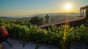 Vinhedo com vista para colinas distantes, uma cadeira vermelha e um edifício com telhado de azulejos.