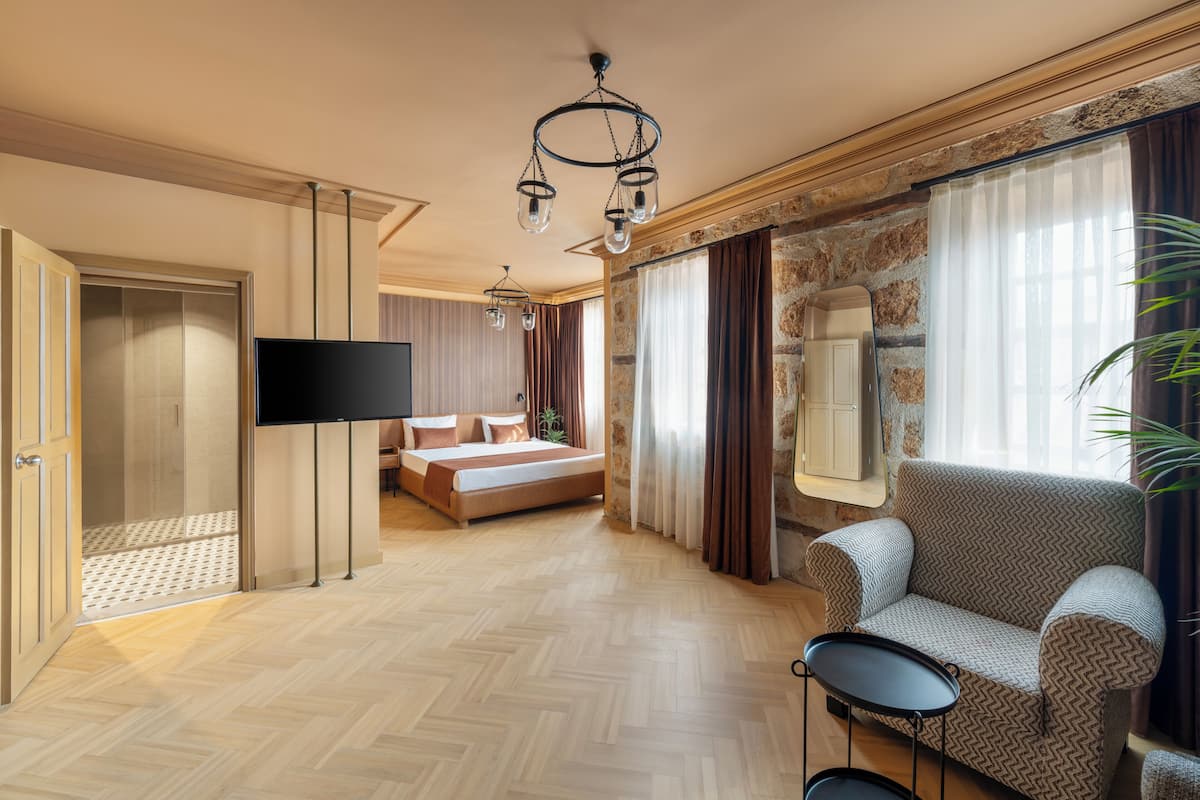 A hotel room with a bed, a TV, a chair, a mirror, and a plant.