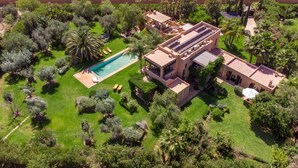 Vue aérienne d’une maison moderne dotée d’une piscine, entourée d’une végétation luxuriante et de palmiers.