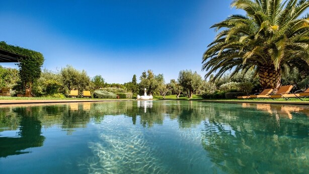 Une piscine aux eaux cristallines, ornée d’une statue de cygne au centre, et entourée de palmiers et de verdure.