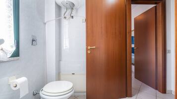 Een badkamer met toilet, douche en een houten deur.