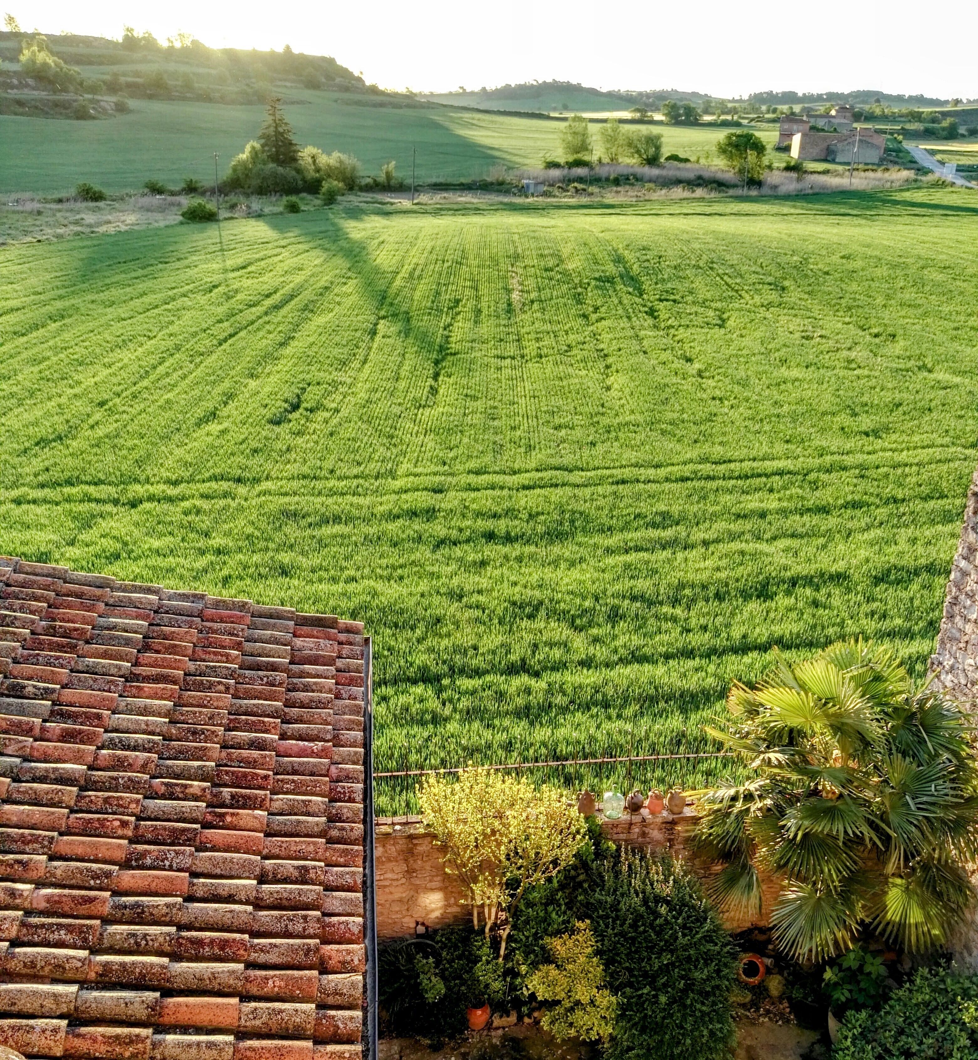 A rural landscape with a field, a brick structure, and a small garden with plants and a water feature.