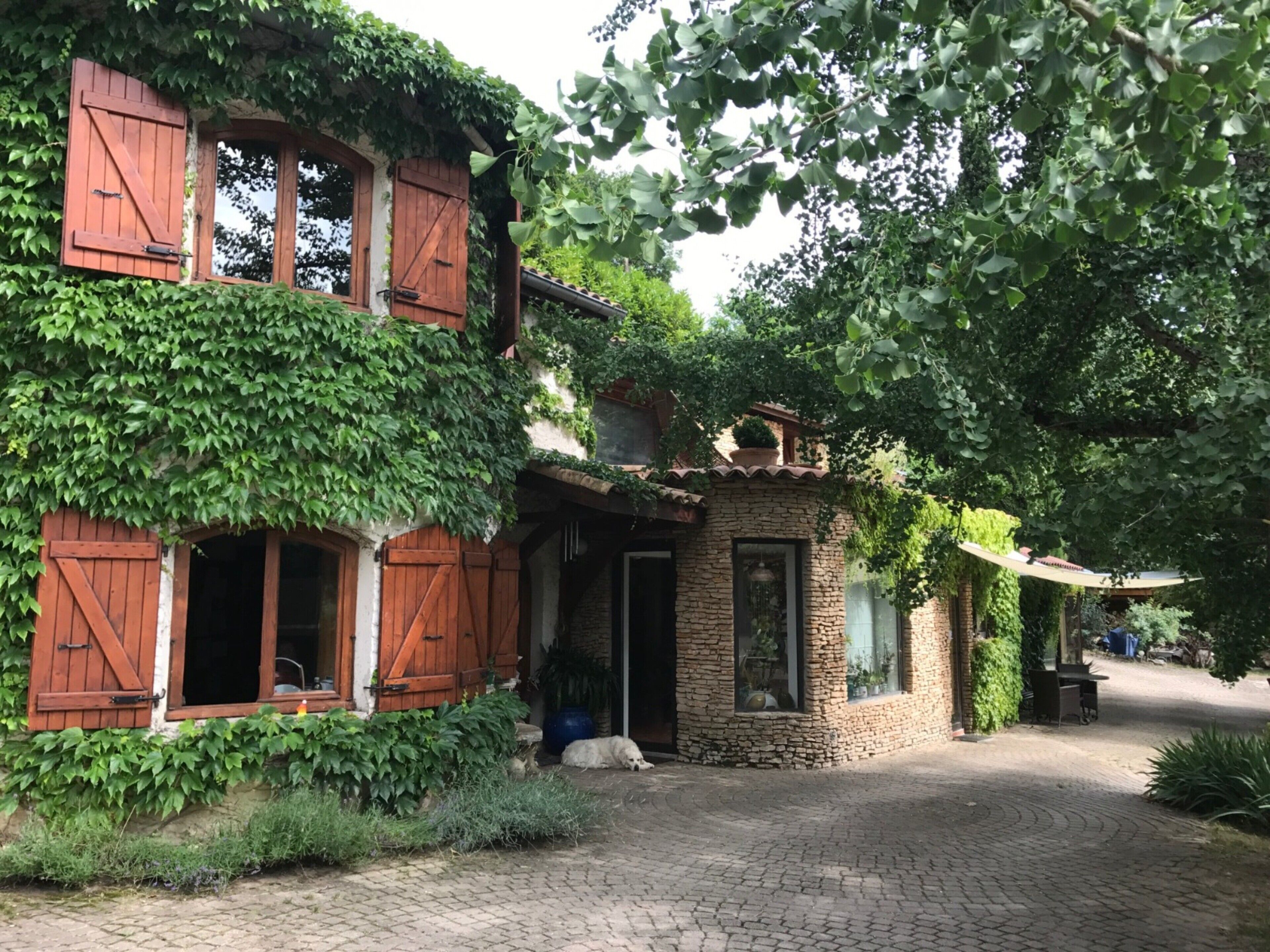 Extérieur