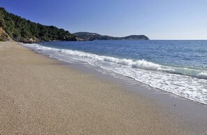 Plage à proximité