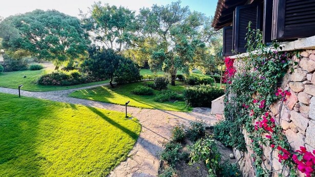 A well-maintained garden with a stone wall and a pathway leading to a building with dark shutters. - Villa a schiera Punta Aldia (Puntaldia)