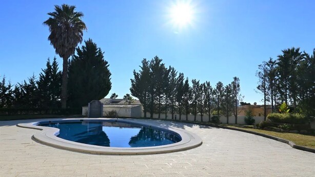 A swimming pool with a curved edge, surrounded by a paved area and trees. - Qta.da Flor - Fantastic Apartment With Pool (Albufeira)