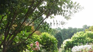 Un jardín con diversas flores y una fuente de piedra.