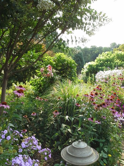 Countryside Cabin with Mountain Views near Surreybrooke Gardens
