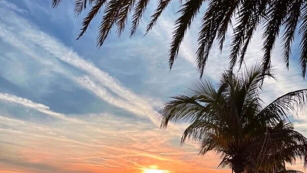 Une plage avec des parasols et des chaises longues, des palmiers, et un coucher de soleil sur l’océan.