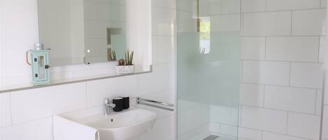 Shower, towels, soap, toilet paper
