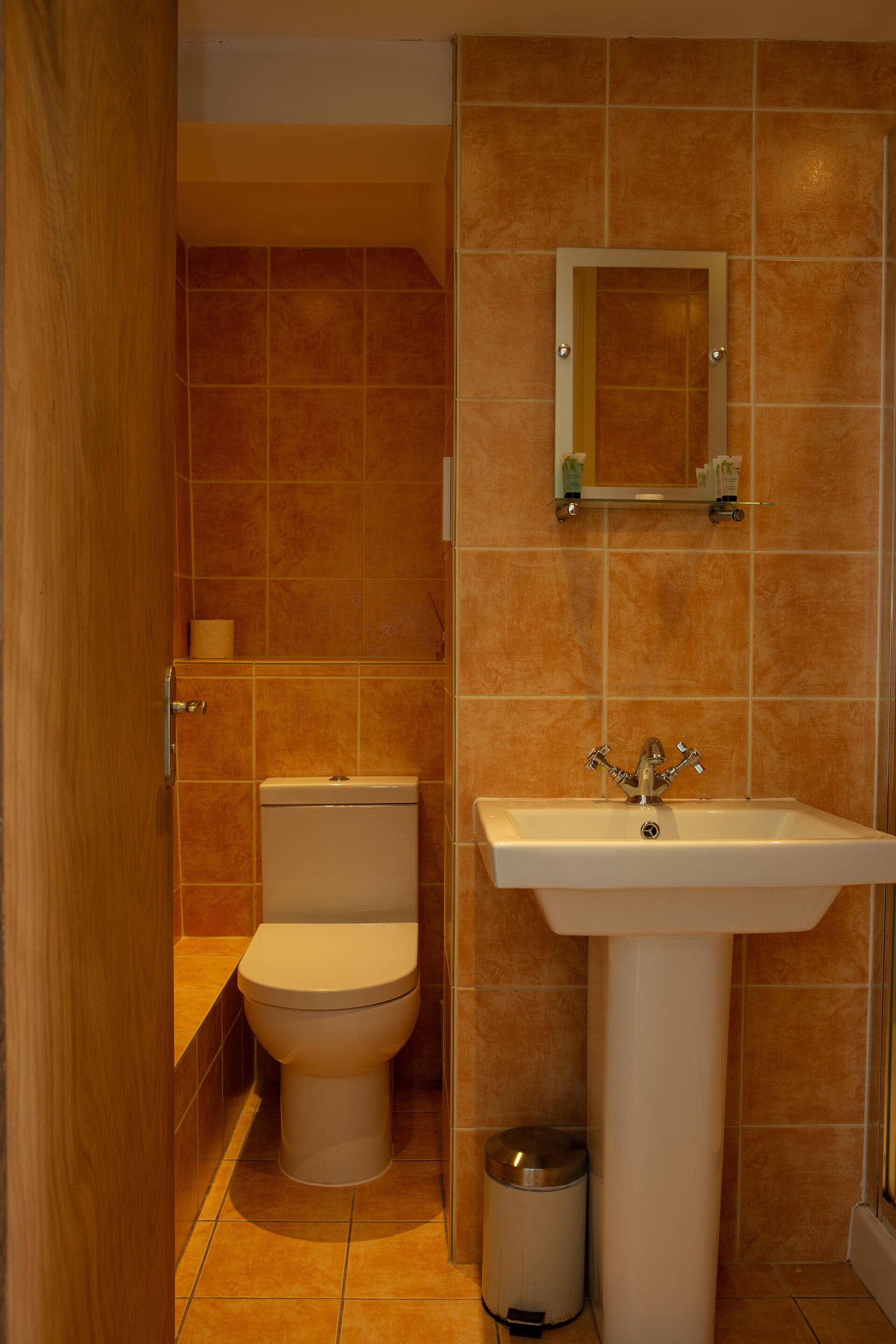 A bathroom with a toilet, sink, and mirror.