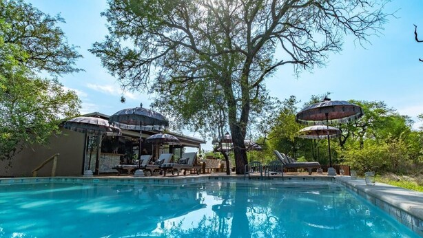 A swimming pool with lounge chairs and umbrellas, surrounded by trees and a building with a covered outdoor area. - Safari Moon Luxury Bush Lodge (Hoedspruit)