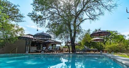 Safari Moon Luxury Bush Lodge