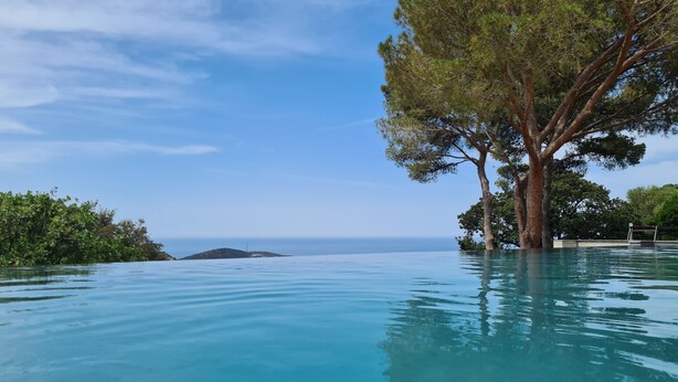 Une piscine à débordement aux eaux cristallines, offrant une vue sur l’océan, avec un arbre sur le côté droit.