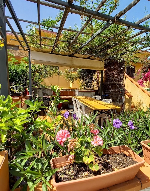 Parco della struttura