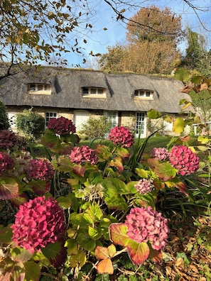 Uma casa tradicional com telhado de palha e um jardim com plantas de hortênsia.