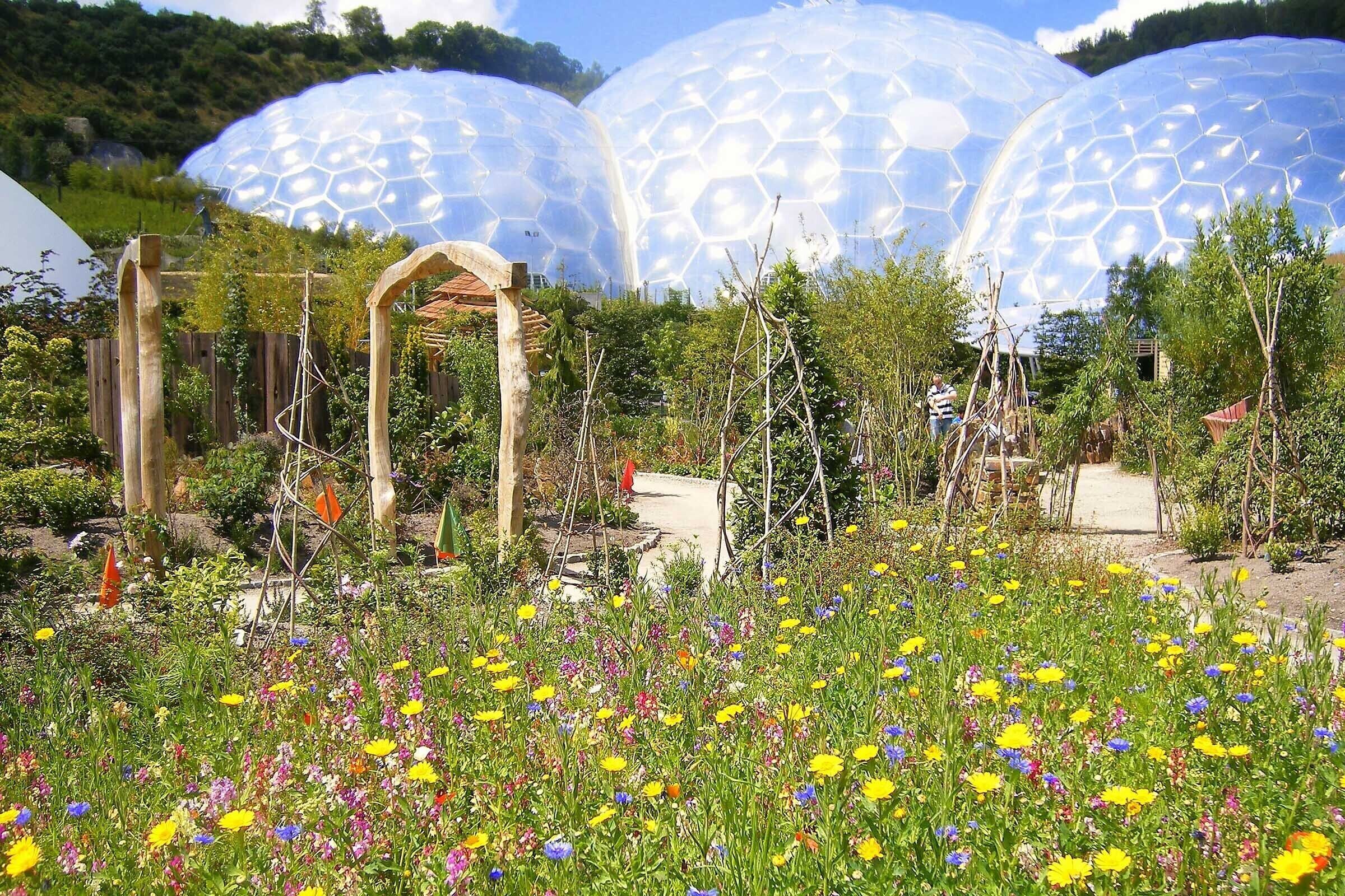 Un jardín con flores coloridas y grandes estructuras transparentes.